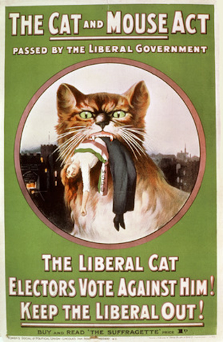 Illustration for article titled Suffragette Cats Are the Original Cat Ladies